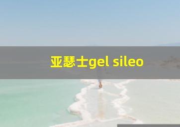 亚瑟士gel sileo